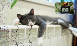 un chat dormant tranquillement sur un chauffage à température idéale